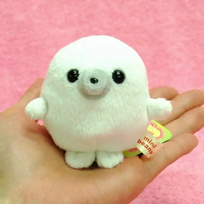[BUNJANG] Mini Beans Seal Plush / 미니빈즈 물개 물범 인형