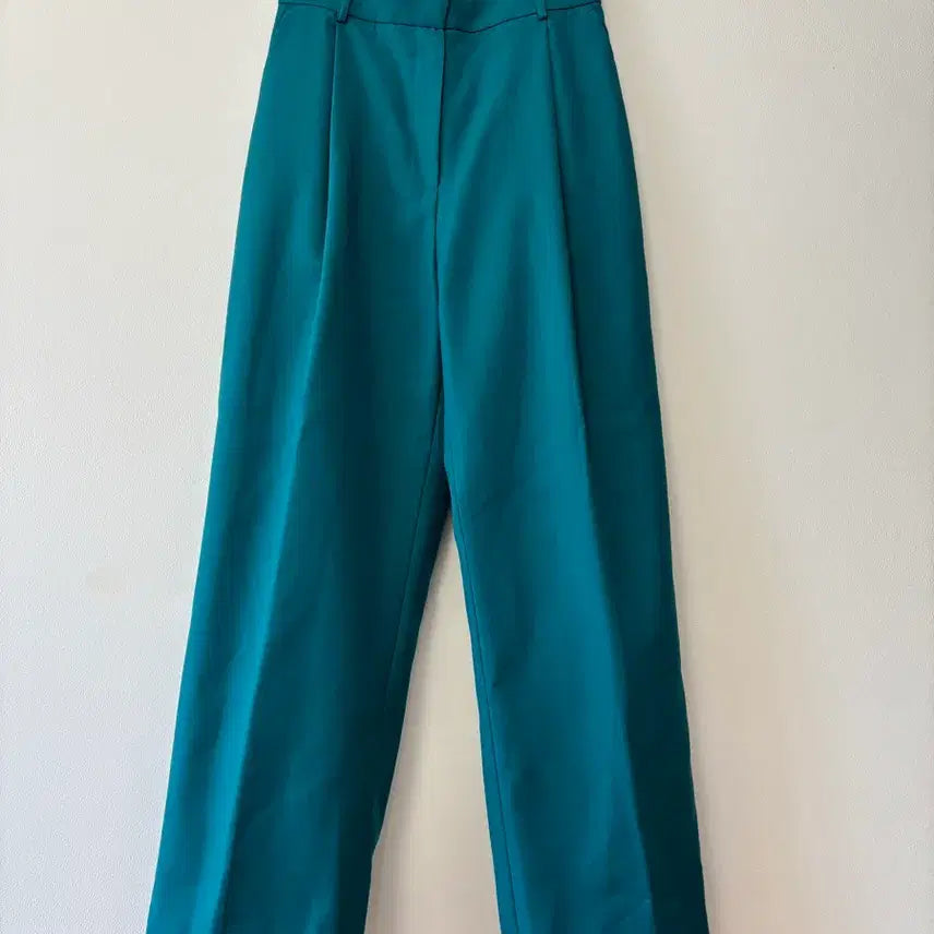 [BUNJANG] ORR Wide Slacks (Teal) / ORR 오르 슬랙스 M
