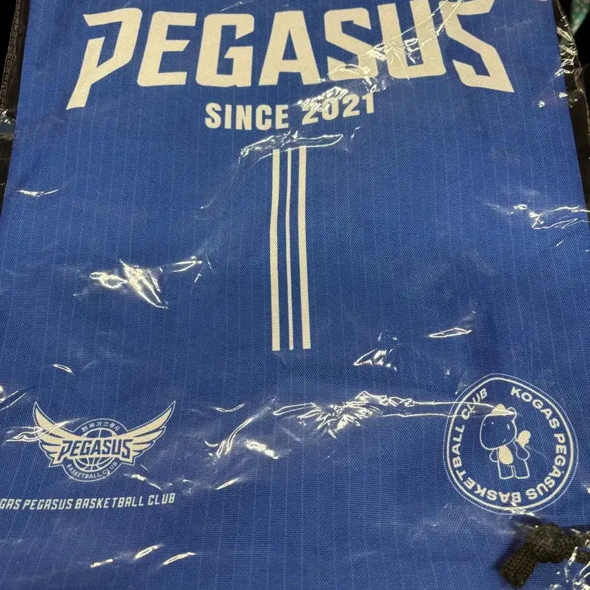 [BUNJANG] Korea Gas Corporation Pegasus Ball Bag / 한국가스공사 페가수스 신발주머니