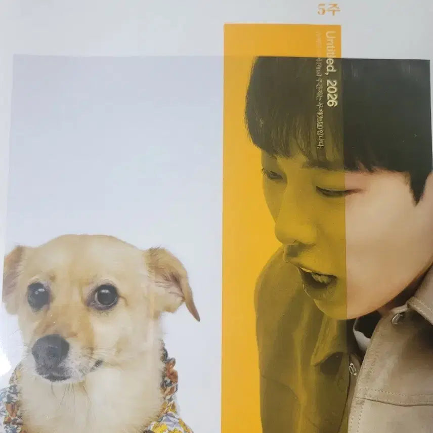 [BUNJANG] Kang Min-chul 2026 "Untitled" Weekly Study Journal / [미개봉] 2026 무제 4호 세제품, 5~8호 미개봉