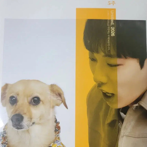 [BUNJANG] Kang Min-chul 2026 "Untitled" Weekly Study Journal / [미개봉] 2026 무제 4호 세제품, 5~8호 미개봉