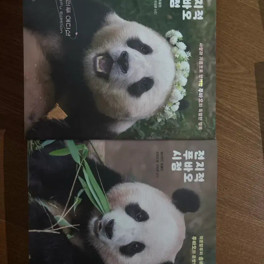 [BUNJANG] Jeonjijeok Fubao Sijeom Bundle Set / 전지적푸바오 시점 일괄판매합니당