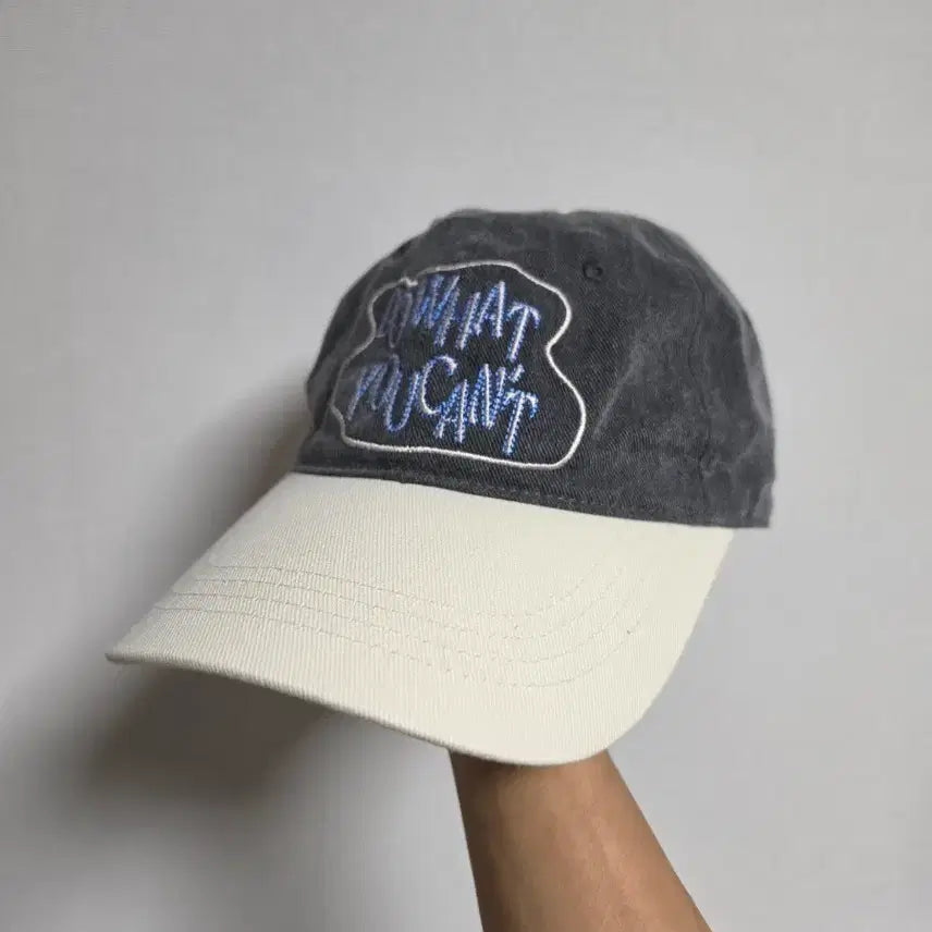 [BUNJANG] Sleepy Sleep Two-Tone Baseball Cap / 슬리피슬립 볼캡 투톤