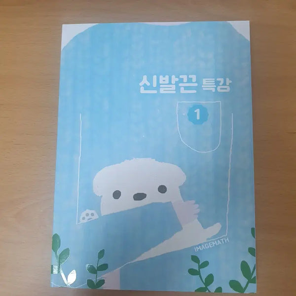 [BUNJANG] Daesung Math Image Shoelace Special Lecture Textbook (Vol. 1-2) / 대성 이미지 신발끈 특강 상.하