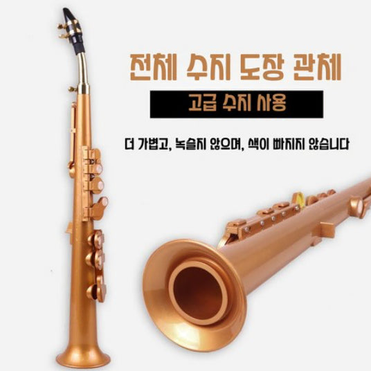[BUNJANG] Beginner Alto Saxophone (E♭) Resin Intermediate Musical Instrument Package / 초보자용 입문용 알토 색소폰 간이형 수지 색소폰 초급 연주 악기 내림B조 내림E조 패키지