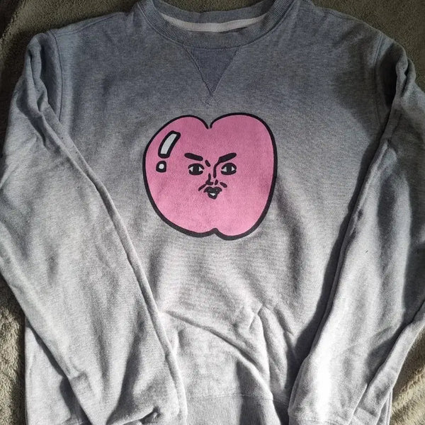 [BUNJANG] Chikchakman Lee Mal Nyeon Sweatshirt XL / 침착맨 이말년 맨투맨 xl 반도