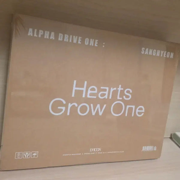 [BUNJANG] Dicon AlphadriveOne SungHyun Photobook / 디아이콘 알파드라이브원 상현 새 상품