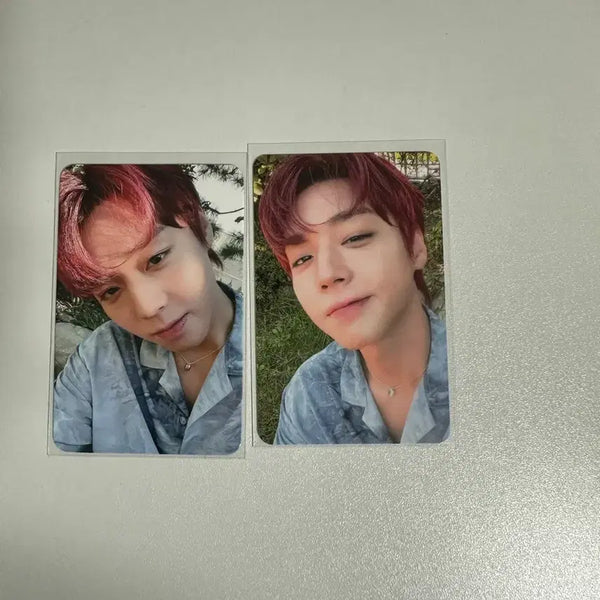 [BUNJANG] Park Ji Hoon Cluecon Photocard Bundle Set / 박지훈 클루콘 포카