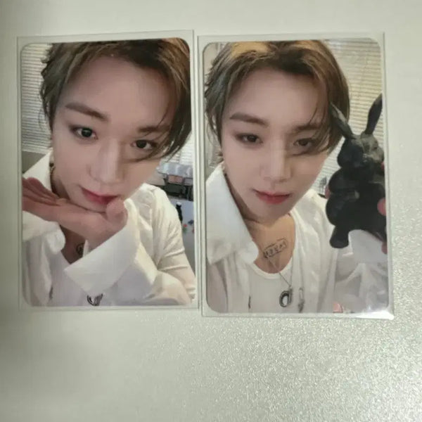 [BUNJANG] Park Jihoon BLOOBLOOCard Set / 박지훈 블오블 포카