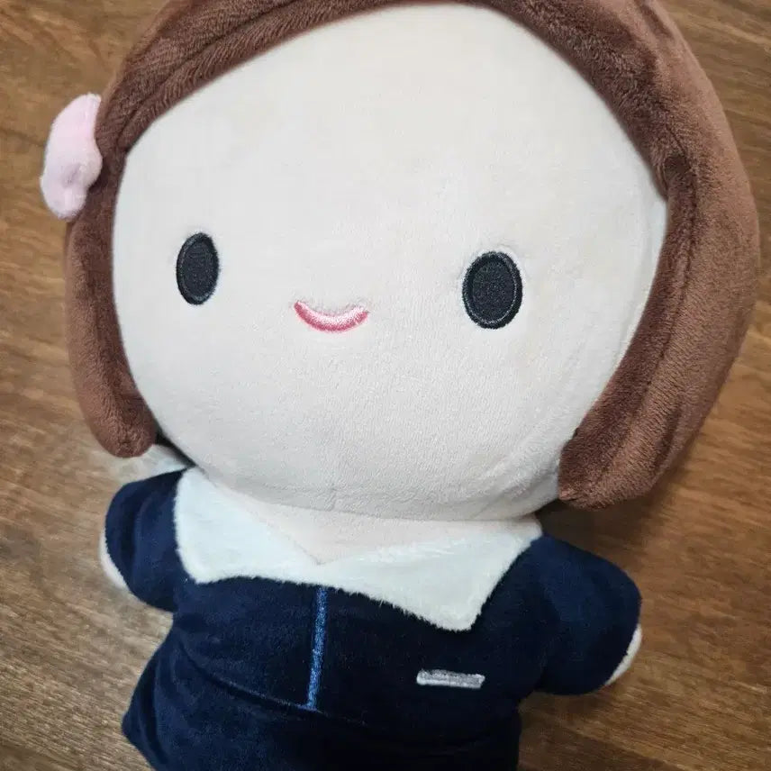 [BUNJANG] Aesoonyi Doll / 폭싹 애순이 인형
