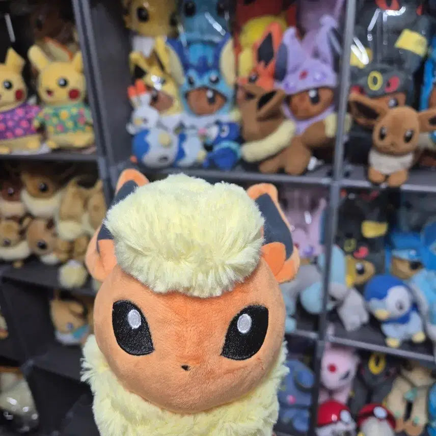 [BUNJANG] Pokemon Dolls Booster Plush Medium / 포켓몬 돌즈 부스터 인형 중형