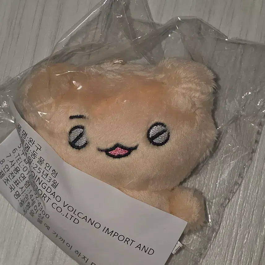 [BUNJANG] Enhypen Jake Mimyooon Doll / 미개봉 묘묘윤 양도합니다!