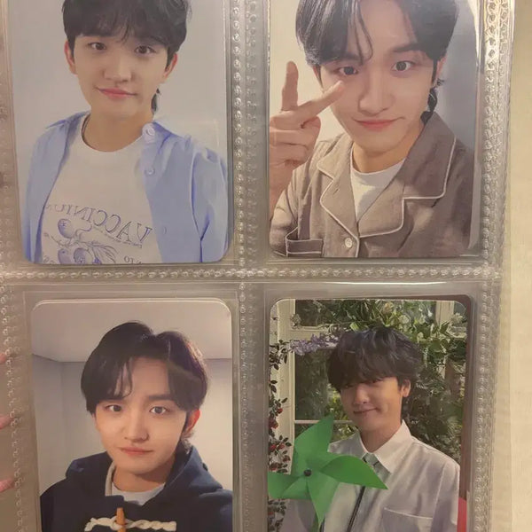 [BUNJANG] Lucy Cho Won Sang Photocard Bundle Set / 루시 조원상 포카위주 랜박
