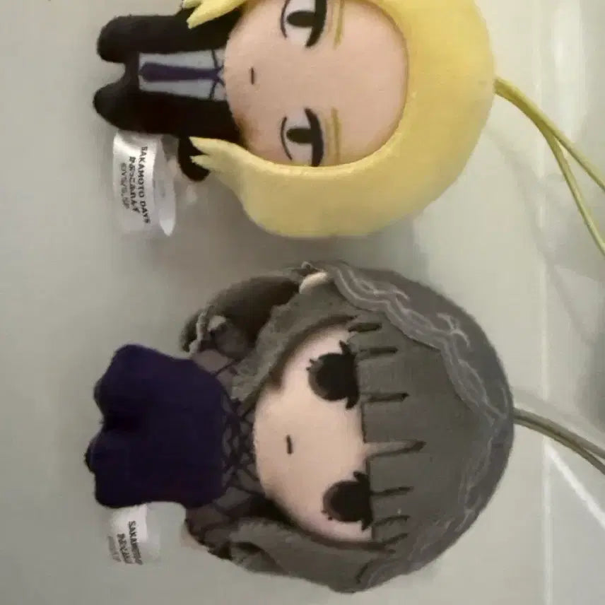 [BUNJANG] Shishiba Osaragi Kapukofriends Plush / 시시바 오사라기 카푸코프렌즈 누이