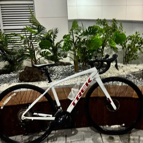 [BUNJANG] Trek Domane AL3 Disc Road Bicycle / 트랙 도마니 al3 로드자전거 (판/대)합니다