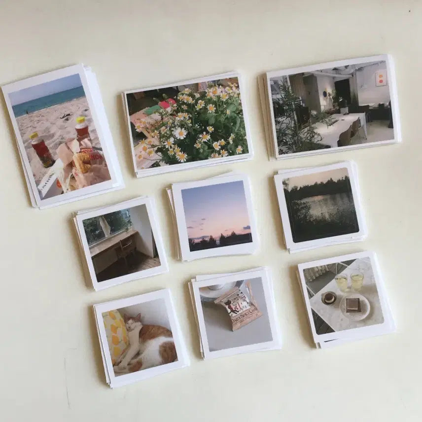 [BUNJANG] New Catchbook Daily Stickers / [다꾸스티커.2] 뉴케치북 데일리 스티커, 다꾸스티커, 감성다꾸, 심플다꾸