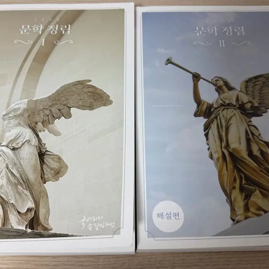 [BUNJANG] Sidae N Jae Son Changbin Literature Establishment Commentary Volume 1 & 2 / 2026 시대인재 손창빈t 문학정립 해설편