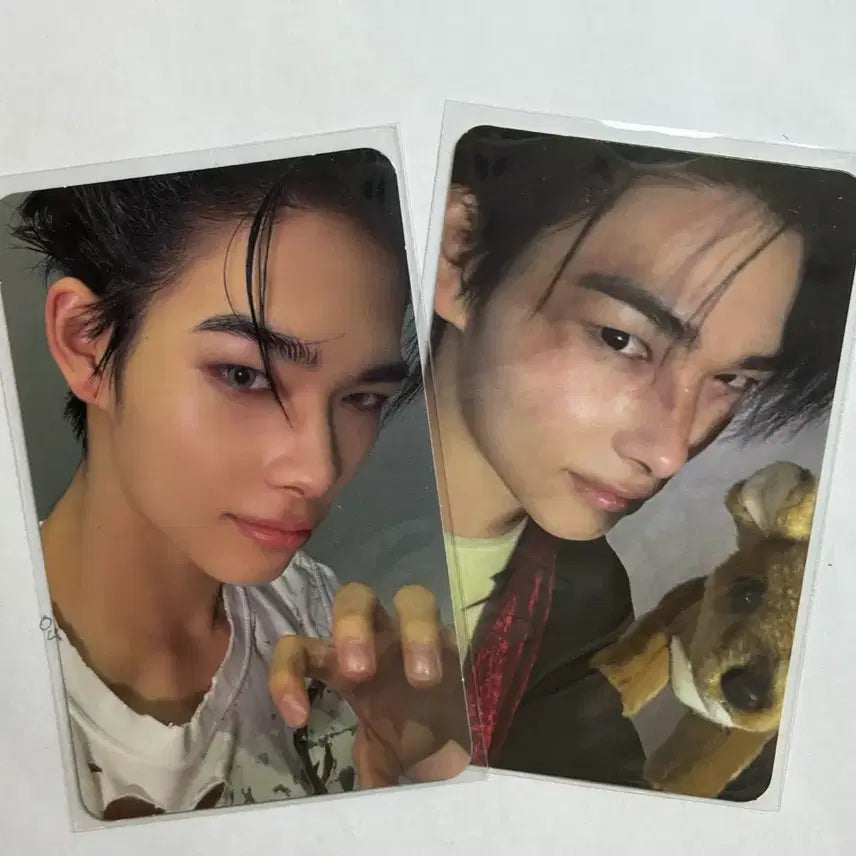 [BUNJANG] Enhypen Ni-ki Photocard Bundle Set / 엔하이픈 니키 포카 양도