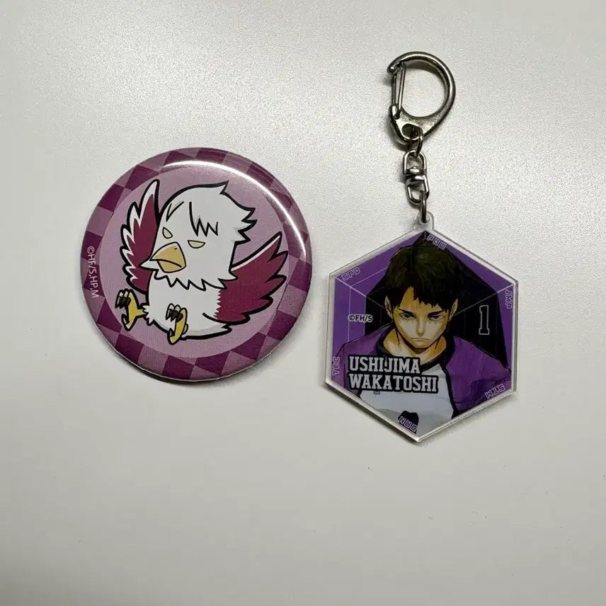 [BUNJANG] Haikyuu!! Ushijima Can Badge + Acrylic Keyring Bundle Set / 하이큐 우시지마 캔뱃지+아크릴 키링 일괄