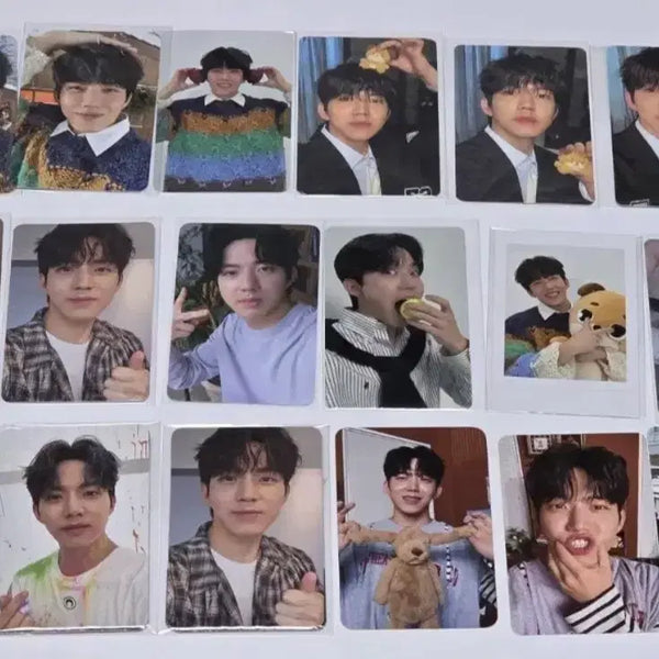[BUNJANG] Day6 Dowoon Bundle Set Photocard / 데이식스 도운 포토카드 일괄