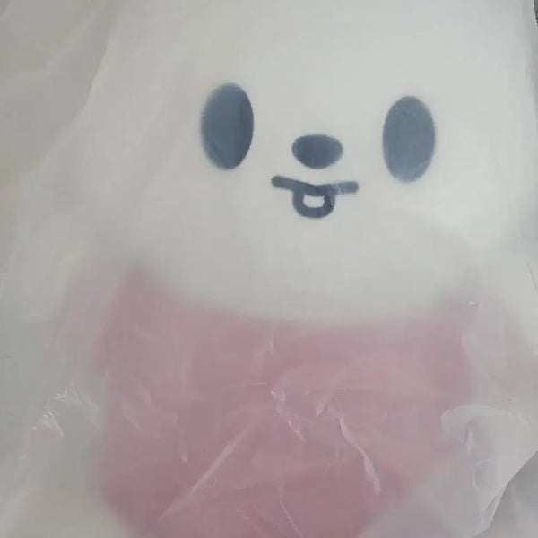 [BUNJANG] Stray Kids SKZOO Ribbit Plush / skz skzoo 스키즈 스키주 인형 hug me 나안아 리노 리빗