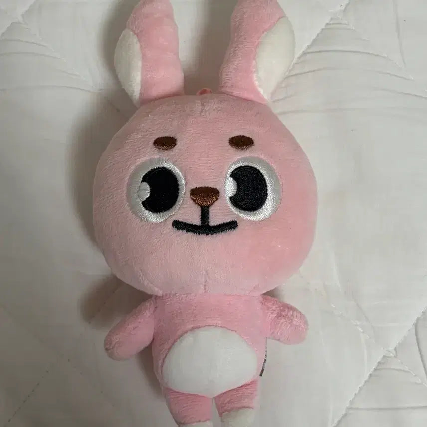 [BUNJANG] DAY6 2020 'The Book of Us: Gluemine' Old Version Doll / 데이식스 20 필끼 원필 구버전