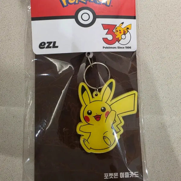 [BUNJANG] Pokemon Pikachu Easel Keychain Transit Card / 포켓몬 피카츄 이즐 키링 교통카드