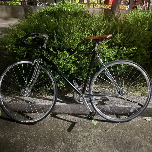 [BUNJANG] Chromoly Track Bicycle / 크로몰리 경륜 픽시