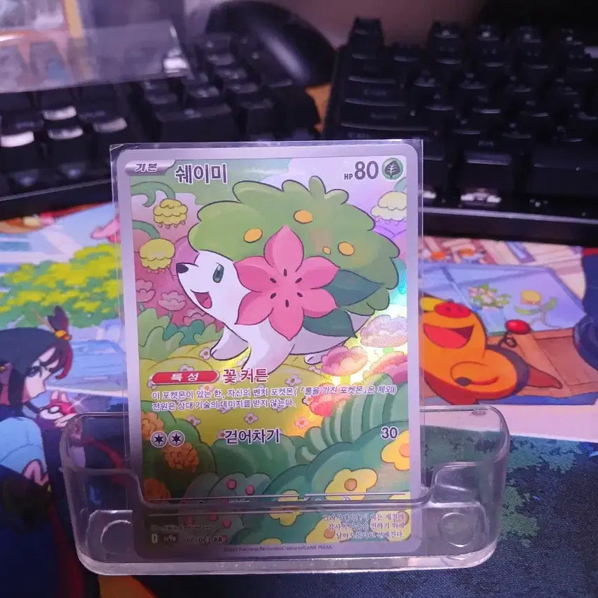 [BUNJANG] Pokemon Card Shaymin AR / 포켓몬카드 쉐이미 AR