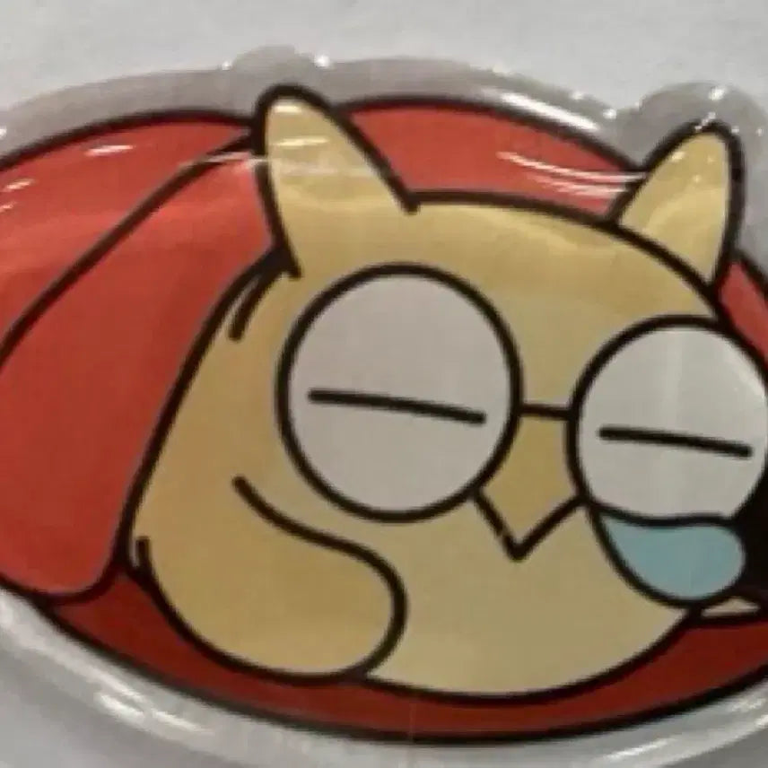 [BUNJANG] Sidae Injae 2027 Owl Magnet Set / 2027 시대인재 부엉이 자석