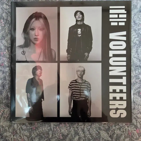 [BUNJANG] The Volunteers LP / 더 발룬티어스 LP