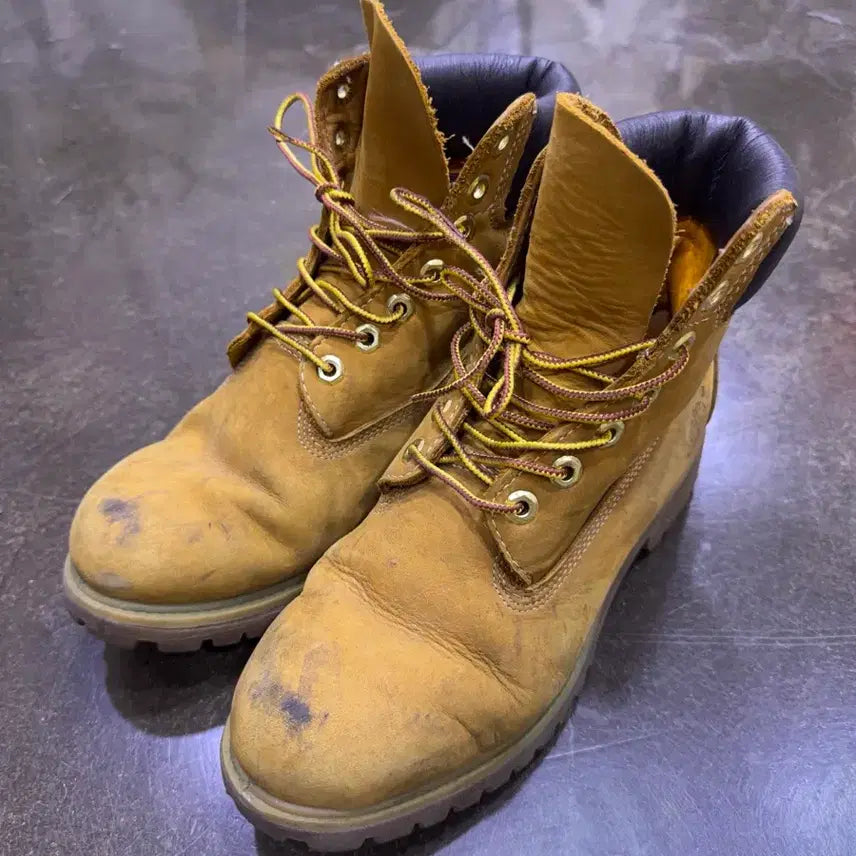 [BUNJANG] Timberland 6-Inch 10061 Walker Boots - Size 250 / 팀버랜드 6인치 10061 워커 부츠 250