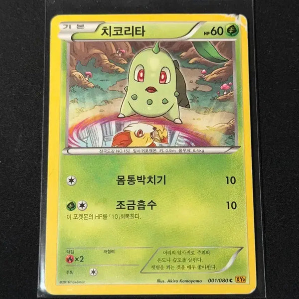 [BUNJANG] Chikorita Pokemon Card / 포켓몬 카드 치코리타