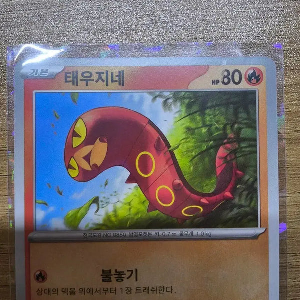 [BUNJANG] Taewoojine Error Card / 태우지네 에러카드