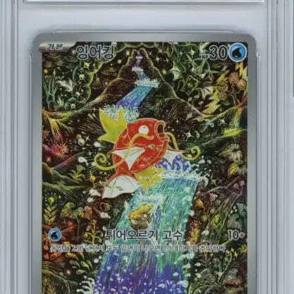 [BUNJANG] Pokemon Card Magikarp AR BRG 9 (Shinji Kanda Illustration) / 포켓몬카드 잉어킹AR BRG9등급 (신지칸다 일러스트)