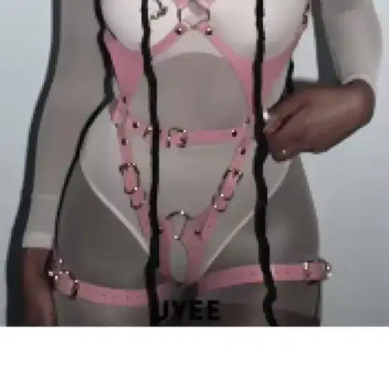 [BUNJANG] Pink Full Body Harness / 핑크색 전신하네스