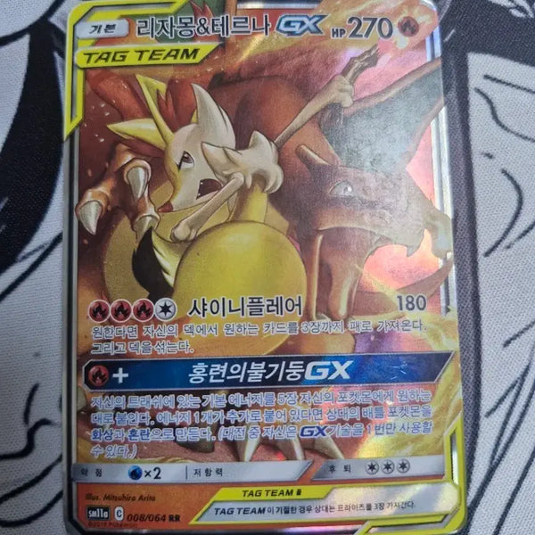 [BUNJANG] Pokemon Card Charizard & Blastoise Tag Team / 포켓몬카드 리자몽&테르나 테그팀