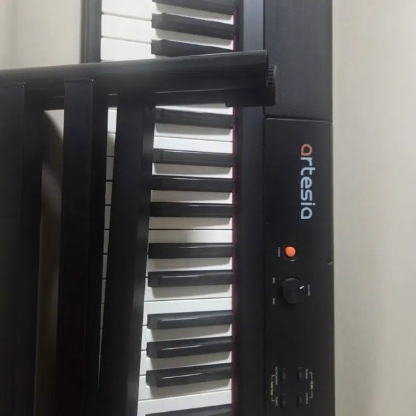 [BUNJANG] Artesia 88-Key Digital Piano / 아르테시아 88건반 전자피아노