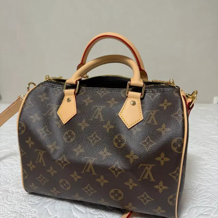 [BUNJANG] Louis Vuitton Speedy 25 Monogram Bag / 루이비통 스피디 25