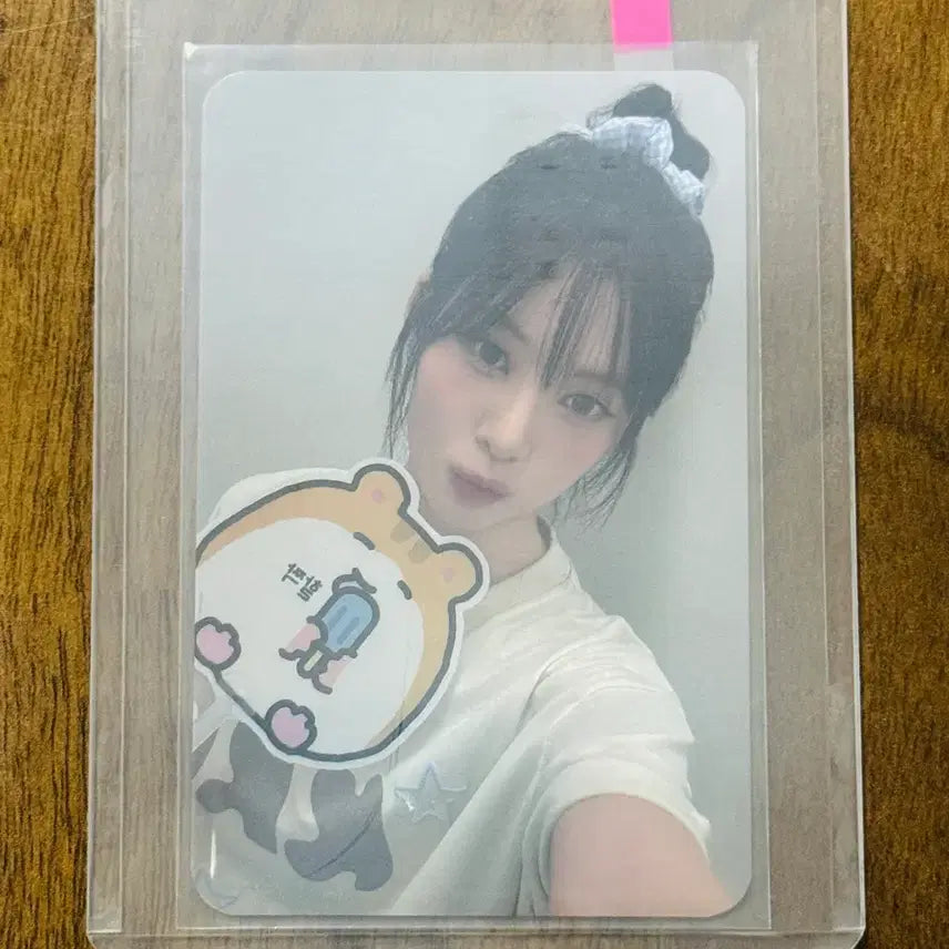 [BUNJANG] Lysnne Live Hamster Gongbang Photocard / 택포 총금액 5만 리센느 리브 햄스터 공방포카 포토카드