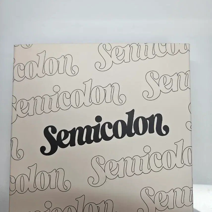 [BUNJANG] Seventeen Special Album / 세븐틴 ;[semicolon] 엘범