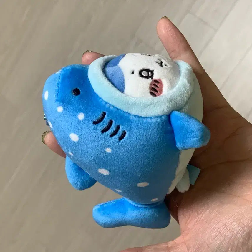 [BUNJANG] Whale Shark Hachi Plush Toy / 고래상어 하치