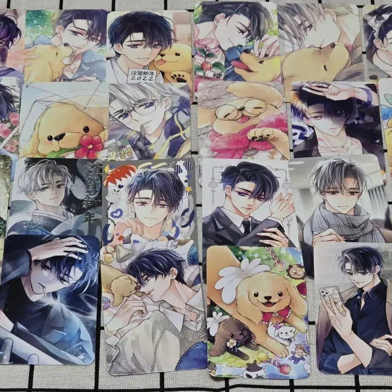 [BUNJANG] Debut or Not (Demutj) Cheongryeo Photocard Bundle Set / 데못죽 청려 포카 일괄