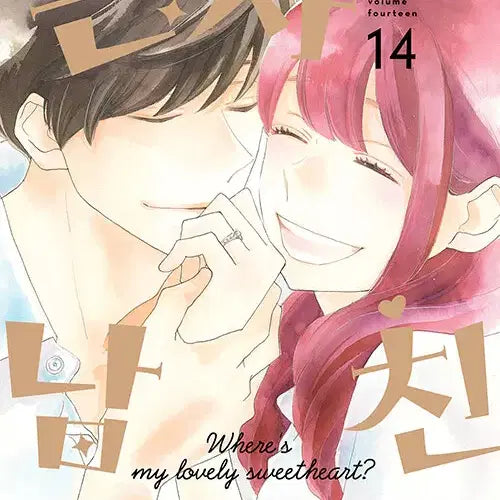 [BUNJANG] My Boyfriend Is Awesome Complete 1-14 Volume Set / 근사한 남친 1~14권(완결)/무료배송