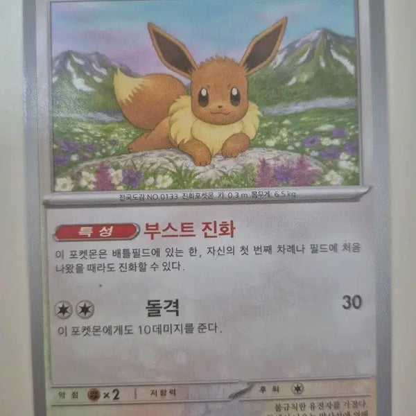 [BUNJANG] Pokemon Card Eevee 125/187 Korean Edition / 포켓몬 카드 이브이 125/187 한글판 일반카드 덱소스