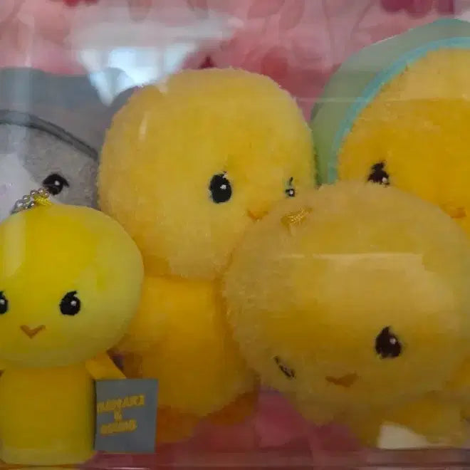 [BUNJANG] SHINee Taemin Tamari 10cm & 15cm Dolls Bundle Set / 샤이니 태민 탬아리(10cm, 15cm)인형 외 일괄