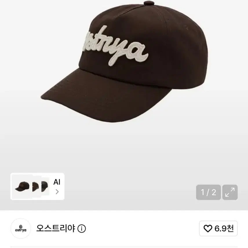 [BUNJANG] OS Austria Wool Cap Brown / os 오스트리야 볼캡 브라운
