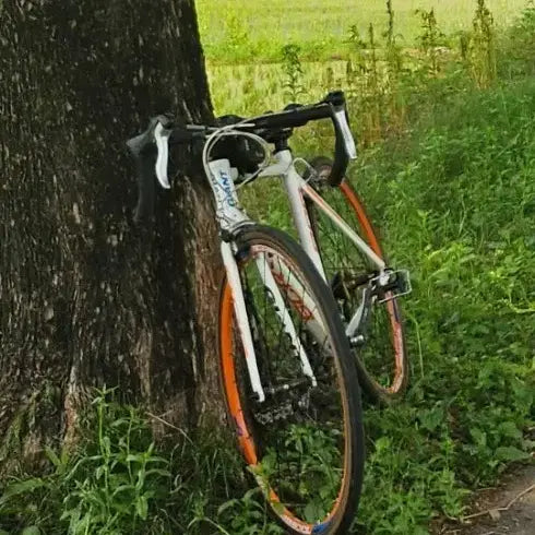 [BUNJANG] Giant SCR1 Road Bike / 자이언트 로드 scr1 판/교/대