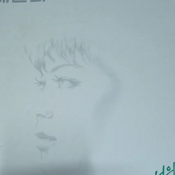 [BUNJANG] Bae Jinhee LP Record / 배진희 엘피판