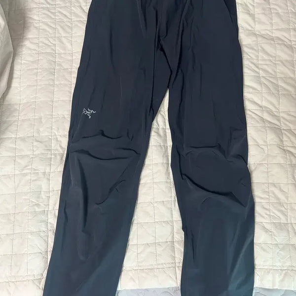[BUNJANG] Arc'teryx Incendo Pants Men's M / 아크테릭스 바지 팬츠
